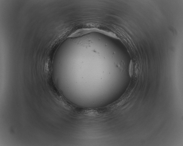 X0000116560424200912241618