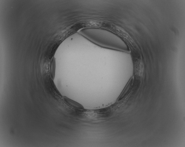 X0000116560425200912241618