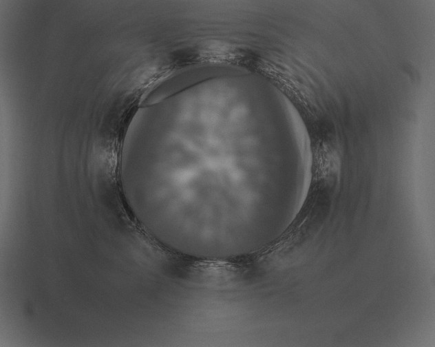 X0000116560427200912241618