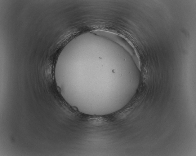 X0000116560428200912241618