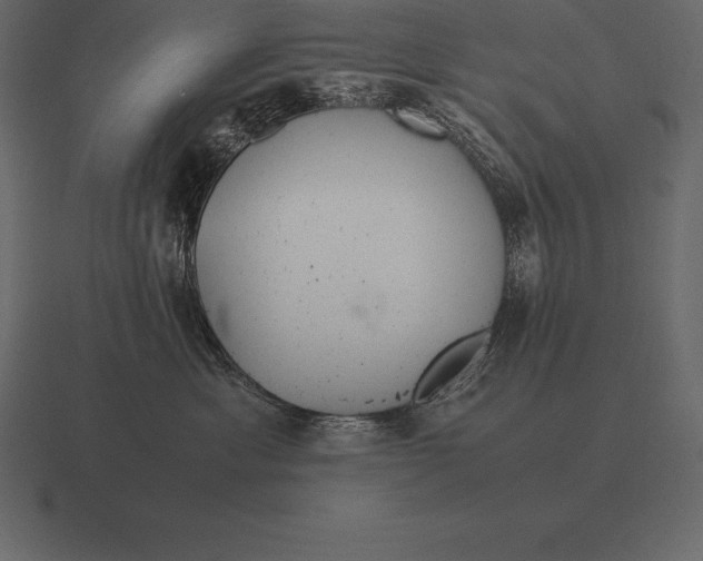 X0000116560429200912241618