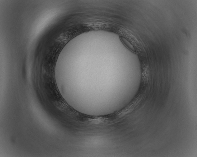 X0000116560430200912241618