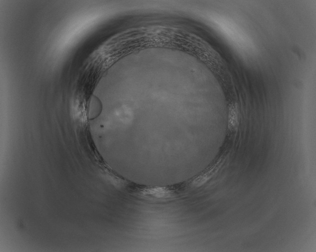 X0000116560431200912241618