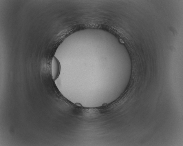 X0000116560432200912241618