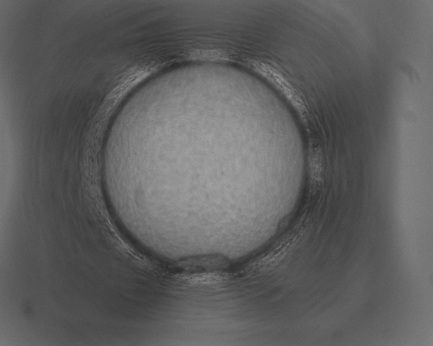 X0000116560433200912241618