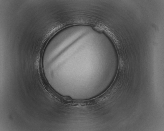 X0000116560434200912241618