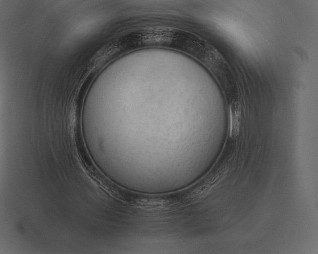 X0000116560435200912241618