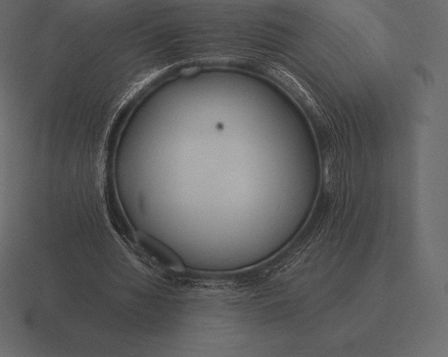 X0000116560436200912241618