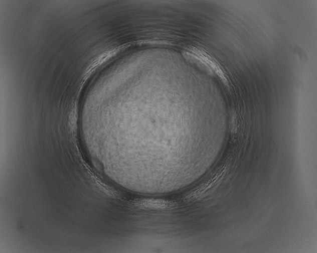 X0000116560437200912241618