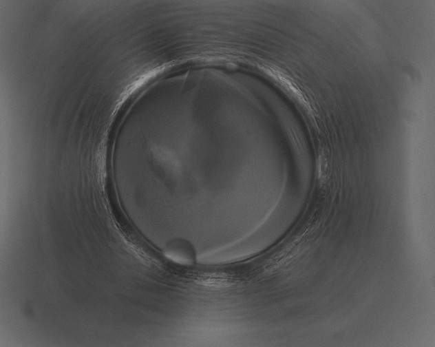 X0000116560438200912241618