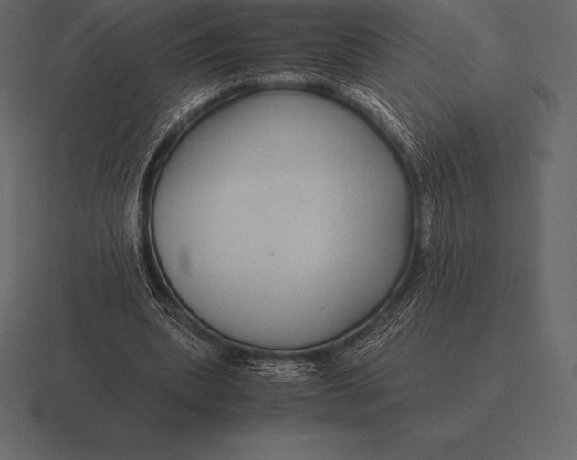 X0000116560439200912241618