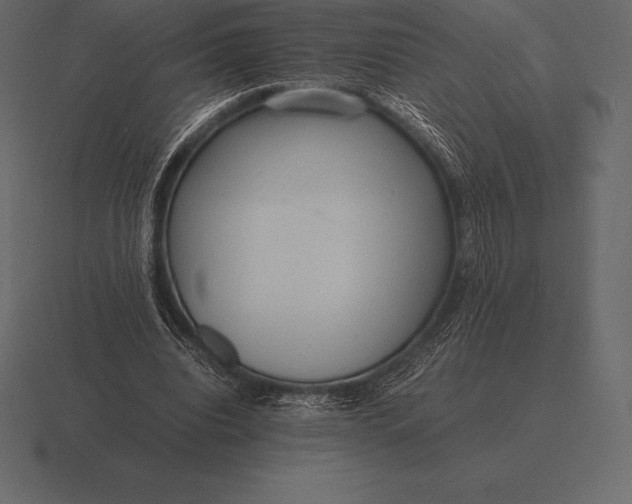 X0000116560440200912241618