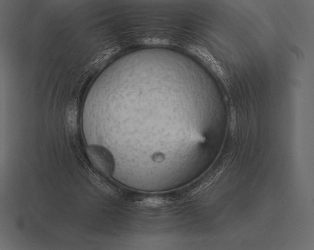 X0000116560441200912241618