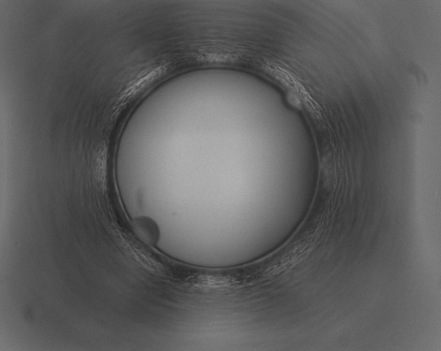 X0000116560442200912241618