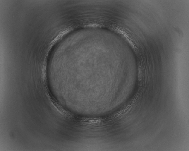 X0000116560443200912241618