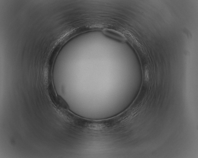 X0000116560444200912241618