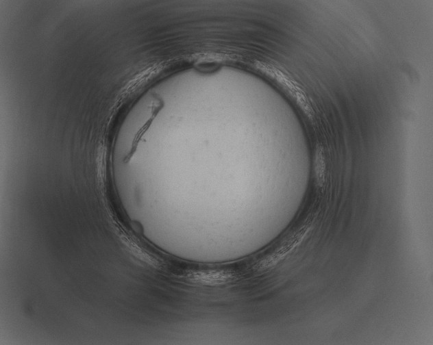 X0000116560445200912241618