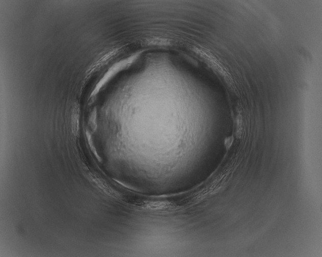 X0000116560446200912241618