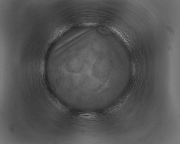 X0000116560447200912241618