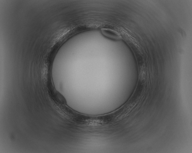 X0000116560448200912241618