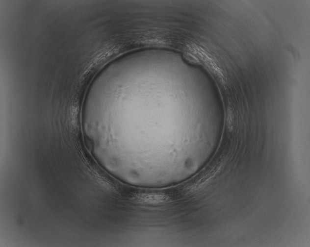 X0000116560449200912241618