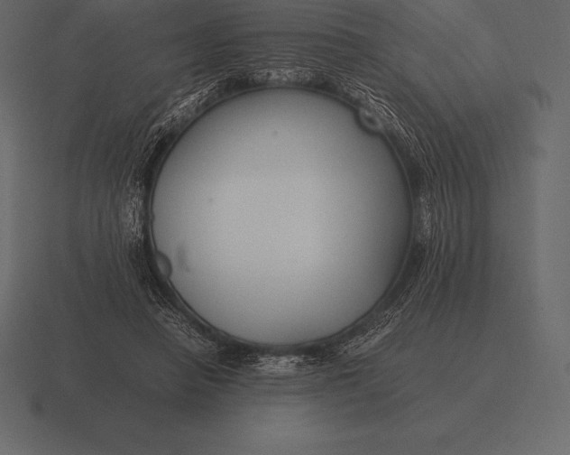 X0000116560450200912241618