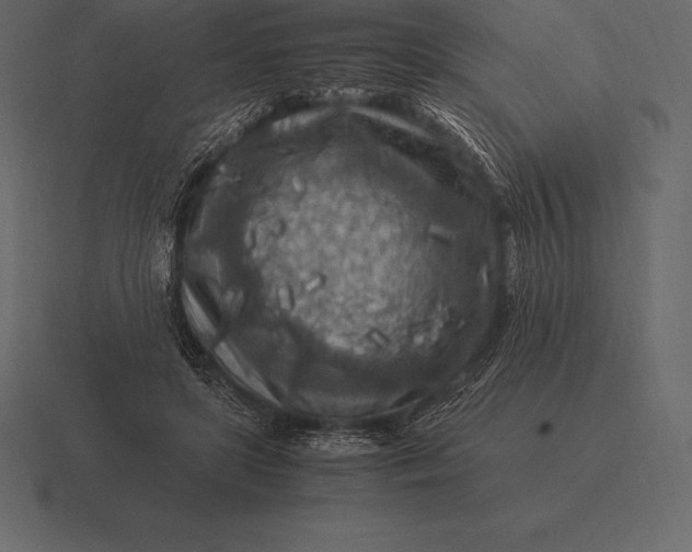 X0000116560451200912241618