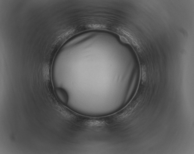 X0000116560453200912241618