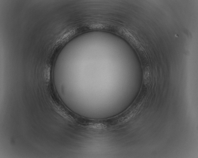 X0000116560454200912241618