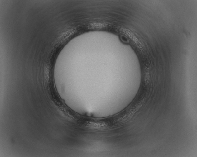 X0000116560455200912241618