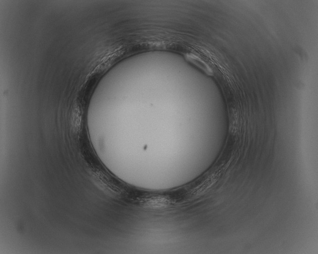 X0000116560456200912241618