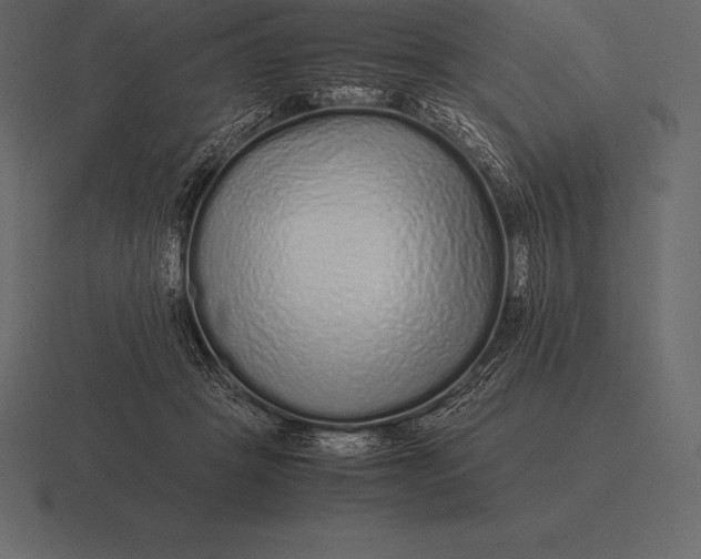 X0000116560457200912241618