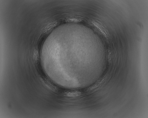 X0000116560459200912241618