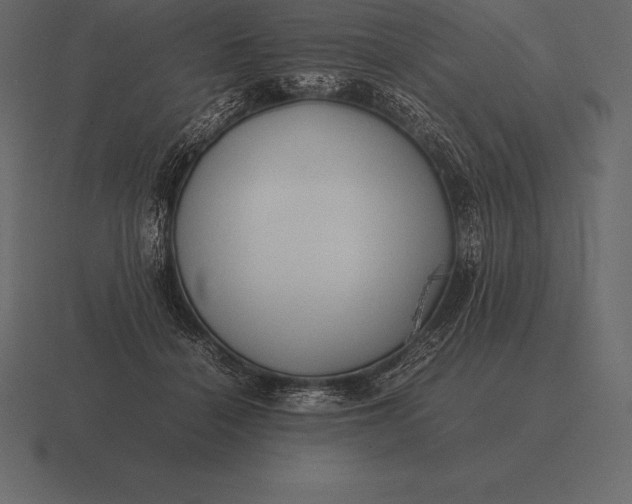 X0000116560460200912241618