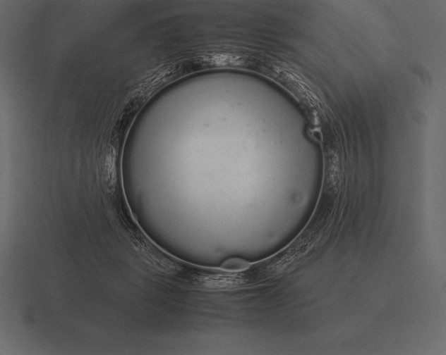 X0000116560461200912241618