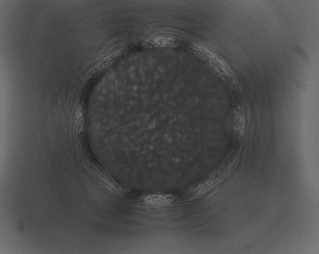 X0000116560465200912241618