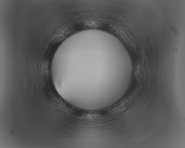 X0000116560466200912241618