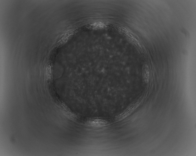 X0000116560467200912241618