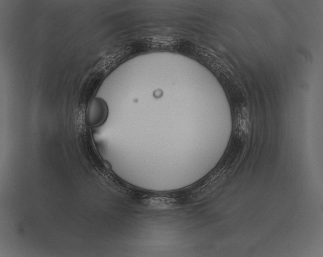 X0000116560468200912241618