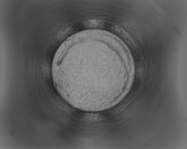 X0000116560469200912241618