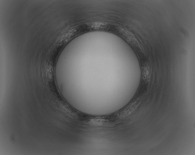 X0000116560470200912241618