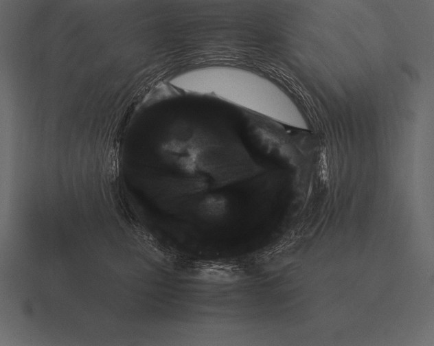 X0000116560471200912241618