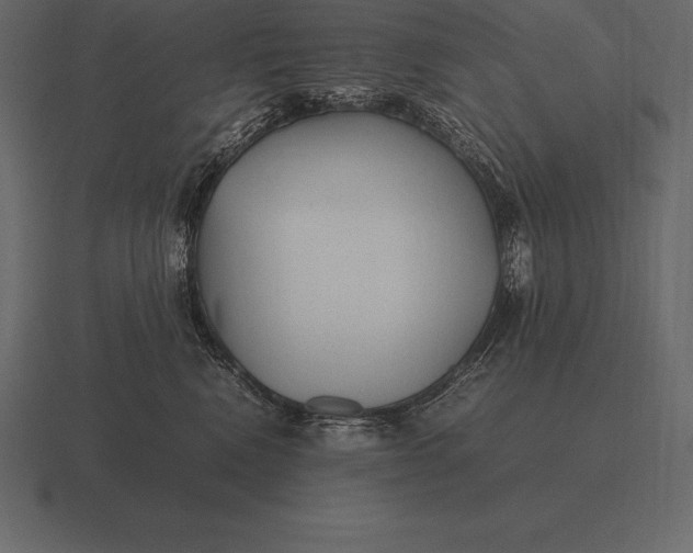 X0000116560472200912241618