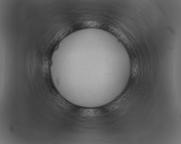 X0000116560473200912241618