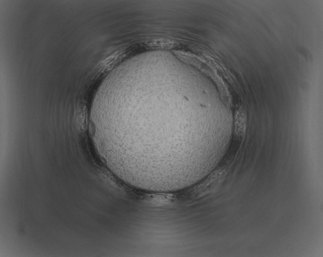 X0000116560474200912241618