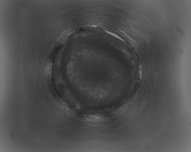 X0000116560475200912241618