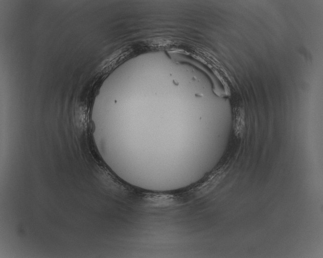 X0000116560476200912241618