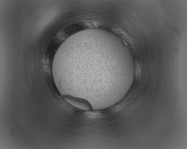 X0000116560477200912241618