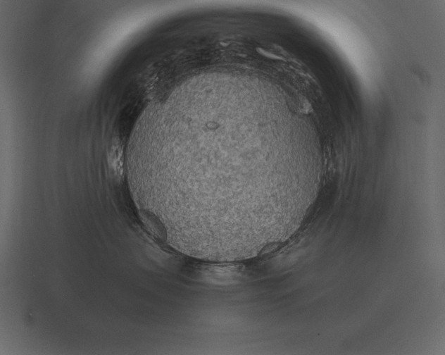 X0000116560479200912241618