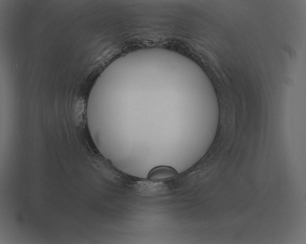 X0000116560480200912241618